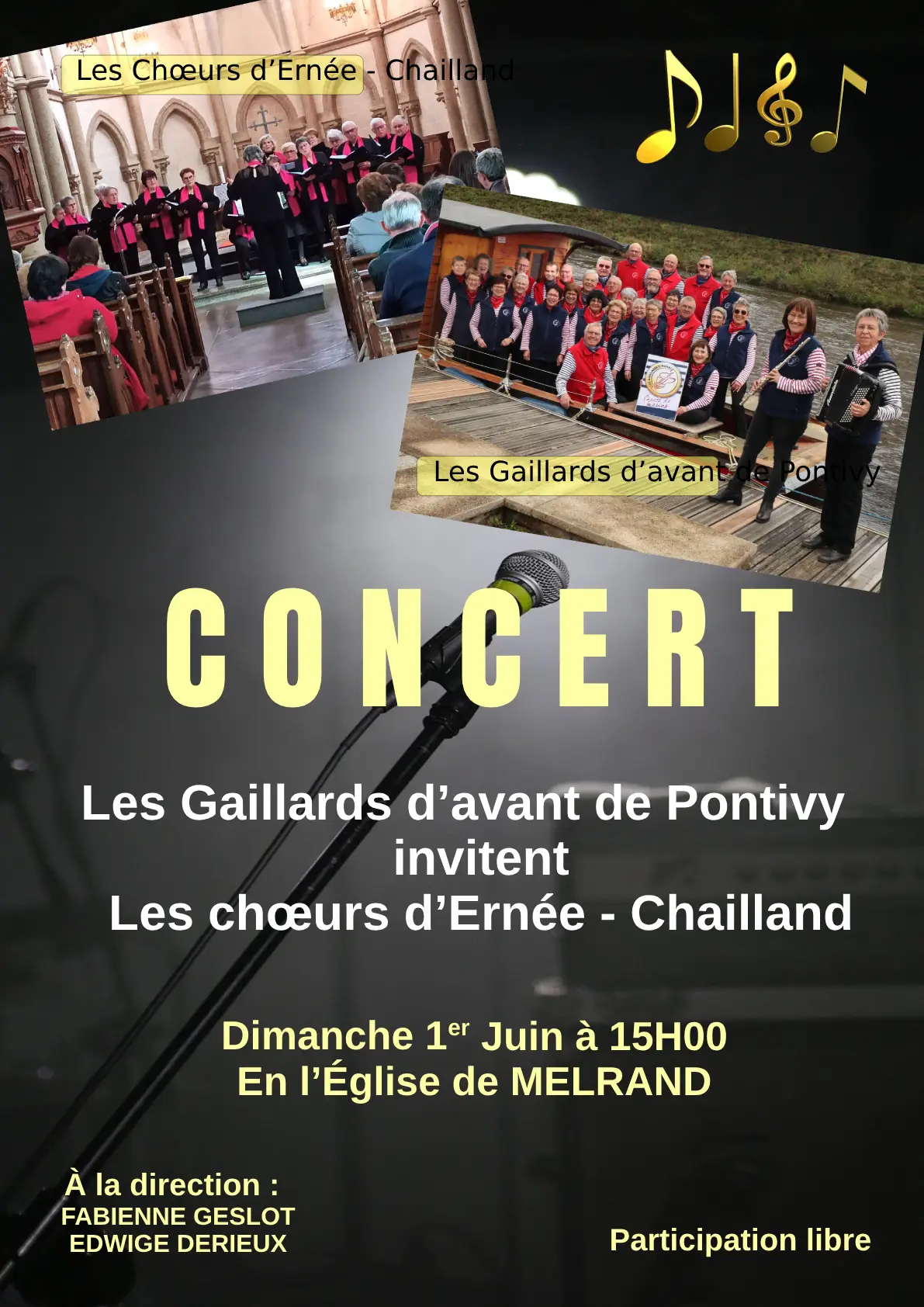 Affiche chailland